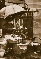 Een bloemenverkoper bij Piccadilly Circus